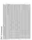 Fig. 53 - Virus-like particles (VLPs) prepared from chikungunya virus structural proteins