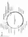 Fig. 56 - Virus-like particles (VLPs) prepared from chikungunya virus structural proteins