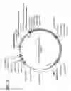 Fig. 76 - Virus-like particles (VLPs) prepared from chikungunya virus structural proteins