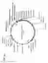 Fig. 81 - Virus-like particles (VLPs) prepared from chikungunya virus structural proteins