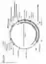 Fig. 96 - Virus-like particles (VLPs) prepared from chikungunya virus structural proteins