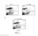 Fig. 06 - Therapeutic Agents