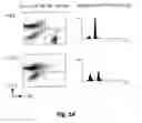 Fig. 15 - Therapeutic Agents