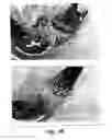 Fig. 19 - Therapeutic Agents
