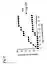 Fig. 28 - Therapeutic Agents