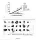 Fig. 09 - Synergistic combination and method thereof