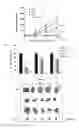 Fig. 10 - Synergistic combination and method thereof