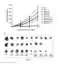 Fig. 12 - Synergistic combination and method thereof