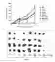 Fig. 13 - Synergistic combination and method thereof