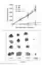 Fig. 14 - Synergistic combination and method thereof