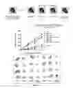 Fig. 15 - Synergistic combination and method thereof