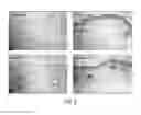 Fig. 06 - Dermal micro-organs, methods and apparatuses for producing and using the same