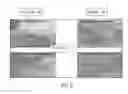 Fig. 09 - Dermal micro-organs, methods and apparatuses for producing and using the same