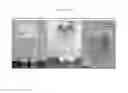 Fig. 16 - NANOEMULSION VACCINES