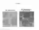 Fig. 19 - NANOEMULSION VACCINES