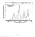 Fig. 08 - Single walled carbon nanotube/sirna complexes and methods related thereto