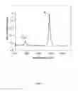 Fig. 09 - Single walled carbon nanotube/sirna complexes and methods related thereto