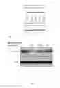 Fig. 15 - Single walled carbon nanotube/sirna complexes and methods related thereto