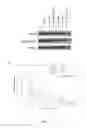 Fig. 16 - Single walled carbon nanotube/sirna complexes and methods related thereto