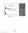 Fig. 17 - Single walled carbon nanotube/sirna complexes and methods related thereto