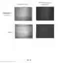 Fig. 20 - Single walled carbon nanotube/sirna complexes and methods related thereto