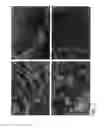 Fig. 02 - Methods and apparatus for manufacturing plasma based plastics and bioplastics produced therefrom
