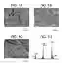 Fig. 02 - CERAMIC/STRUCTURAL PROTEIN COMPOSITES AND METHOD OF PREPARATION THEREOF
