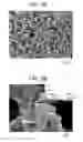 Fig. 06 - CERAMIC/STRUCTURAL PROTEIN COMPOSITES AND METHOD OF PREPARATION THEREOF