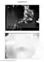 Fig. 02 - Injectable biomaterials