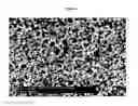 Fig. 03 - Injectable biomaterials
