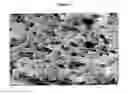 Fig. 04 - Injectable biomaterials