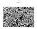 Fig. 05 - Injectable biomaterials