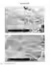 Fig. 10 - Injectable biomaterials