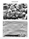 Fig. 11 - Injectable biomaterials