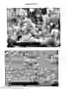 Fig. 12 - Injectable biomaterials