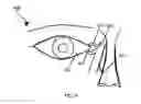 Fig. 05 - NEW METHODS OF TREATING DRY EYE SYNDROME