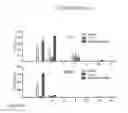 Fig. 23 - METHODS FOR INDUCING AN IMMUNE RESPONSE