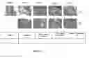 Fig. 24 - METHODS FOR INDUCING AN IMMUNE RESPONSE