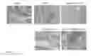 Fig. 30 - METHODS FOR INDUCING AN IMMUNE RESPONSE