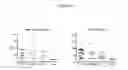 Fig. 31 - METHODS FOR INDUCING AN IMMUNE RESPONSE