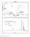 Fig. 03 - Pharmaceutical composition of nanoparticles for protein drug delivery
