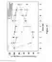 Fig. 15 - Pharmaceutical composition of nanoparticles for protein drug delivery