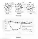 Fig. 16 - Pharmaceutical composition of nanoparticles for protein drug delivery