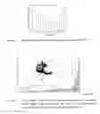 Fig. 10 - Transmucosal delivery system