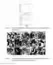 Fig. 13 - Transmucosal delivery system