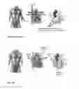 Fig. 02 - Unit doses, aerosols, kits, and methods for treating heart conditions by pulmonary administration