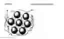 Fig. 01 - Crosslinked Dextran Composite Magnetic Microparticles and Preparation Process and Using Method Thereof