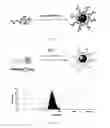 Fig. 02 - PH-SENSITIVE DENDRITIC POLYMERIC MICELLES
