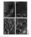 Fig. 02 - Methods and apparatus for manufacturing plasma based plastics and bioplastics produced therefrom