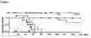 Fig. 09 - METHOD OF REDUCING MULTI-DRUG RESISTANCE USING INOSITOL TRIPYROPHOSPHATE